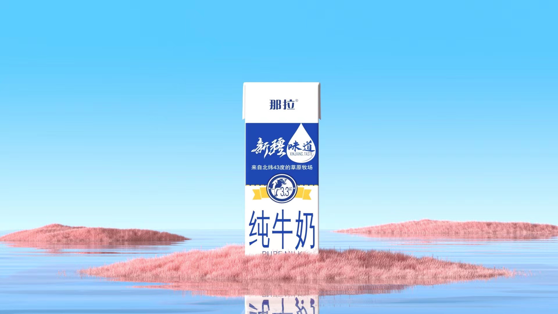 【上新了！】新品快來看看吧！